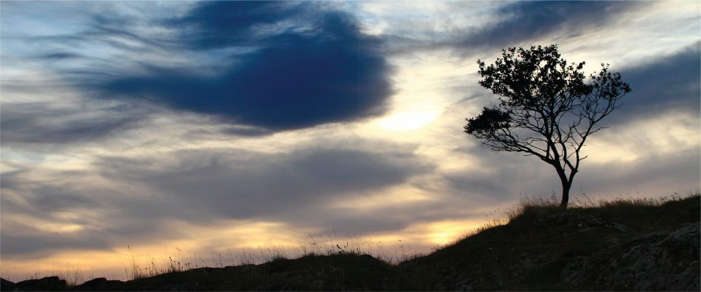 untitled-1
