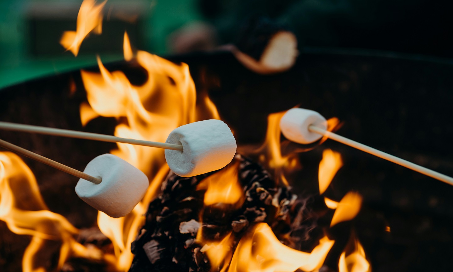 Marshmallows over a campfire