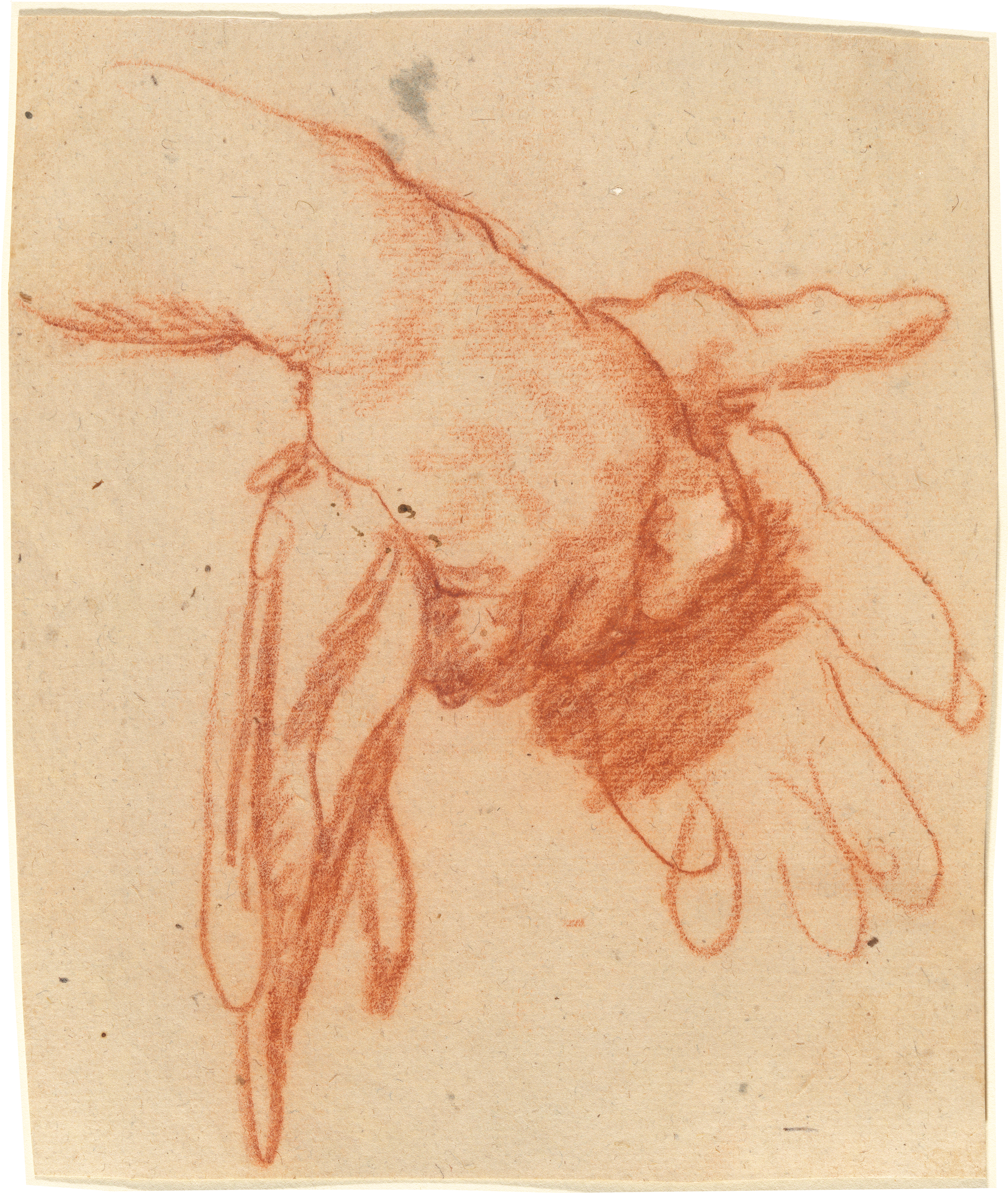 A red-chalk study of relaxed hands holding empty gloves