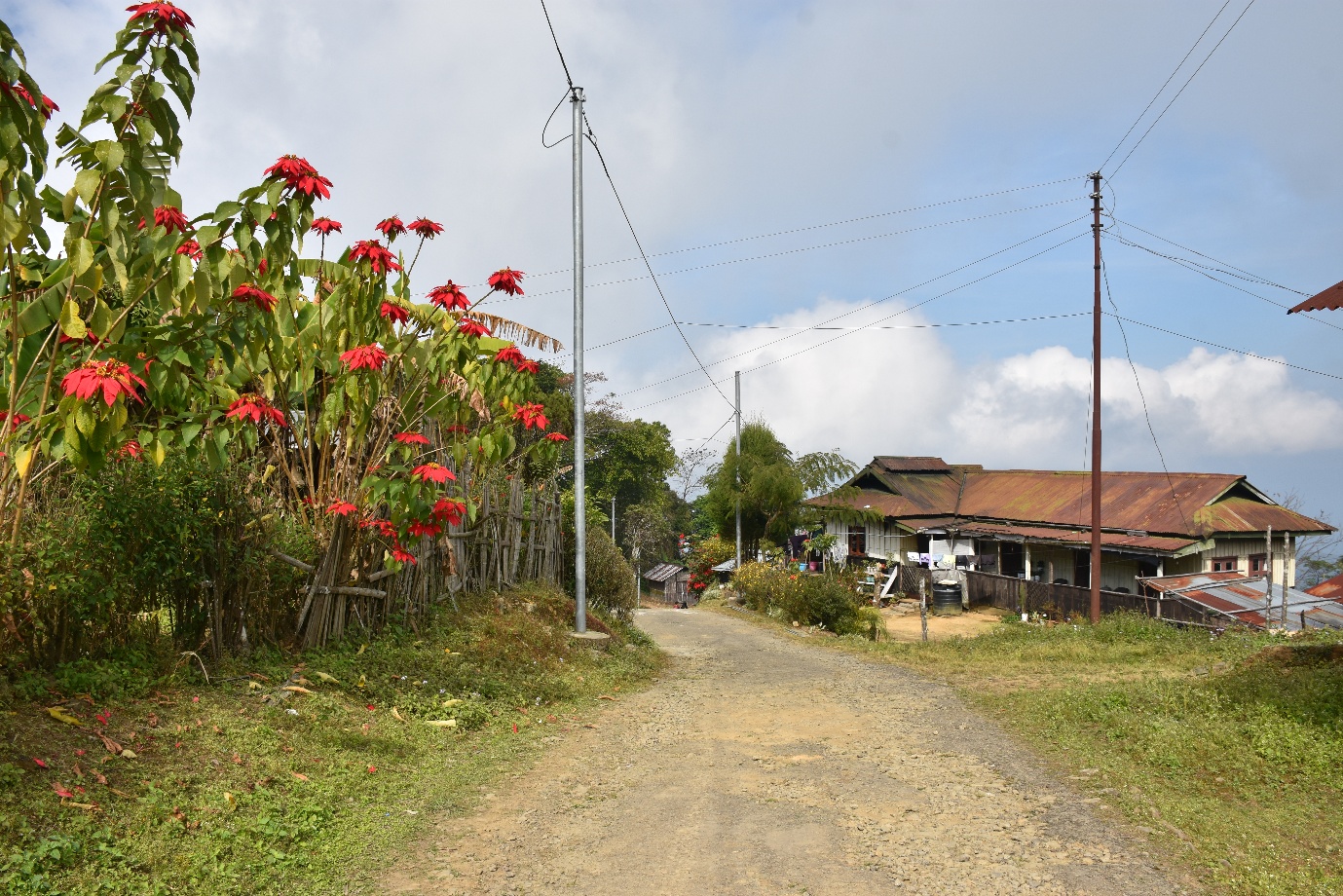 Looking at Longkhum image 2