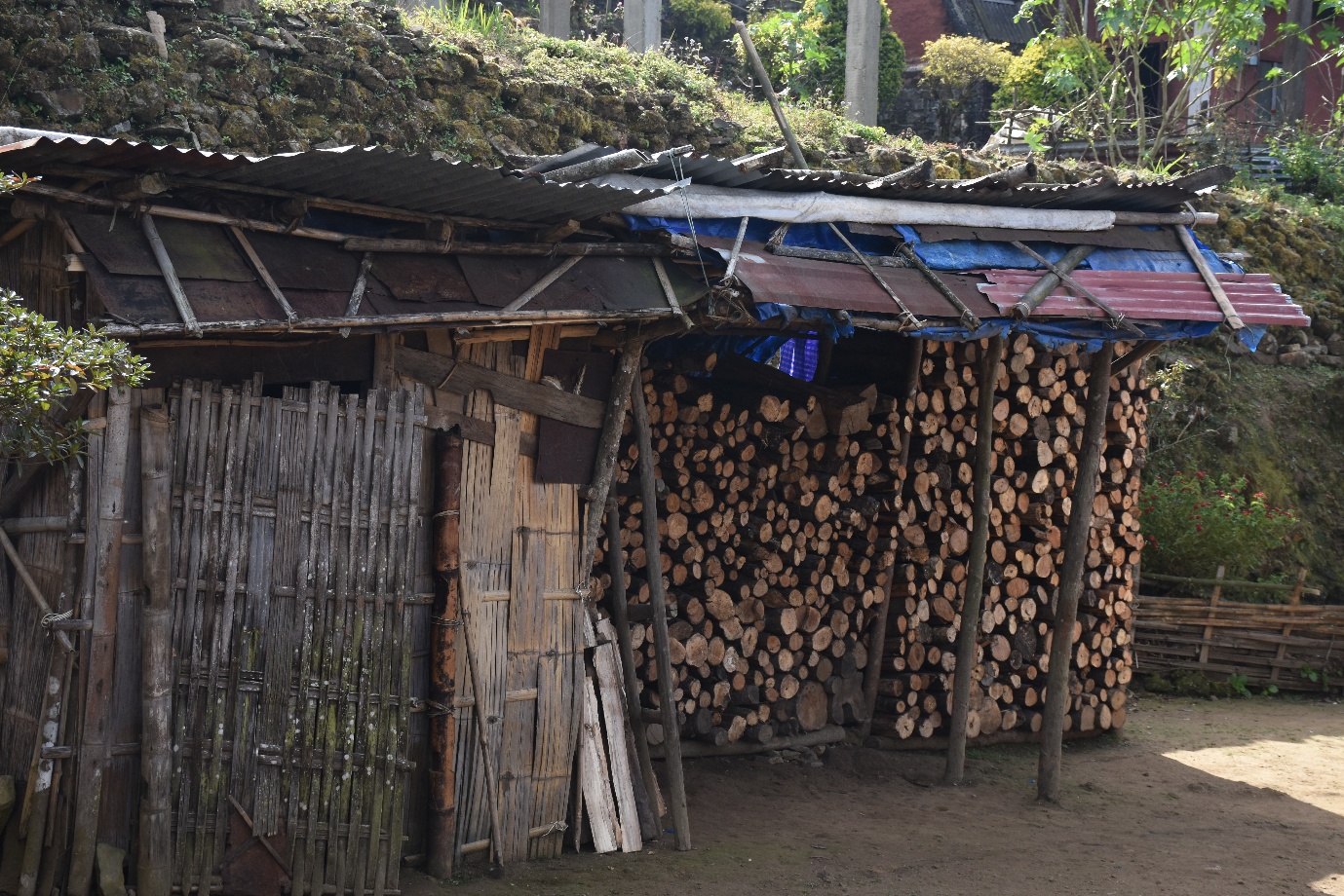 Looking at Longkhum image 3