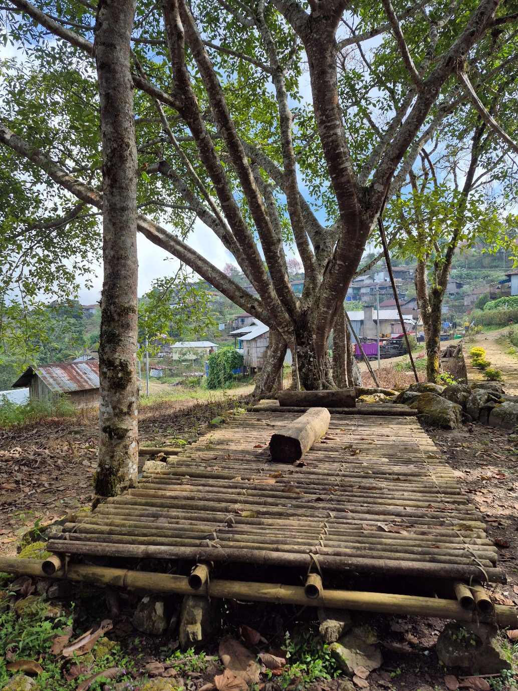 Looking at Longkhum image 4