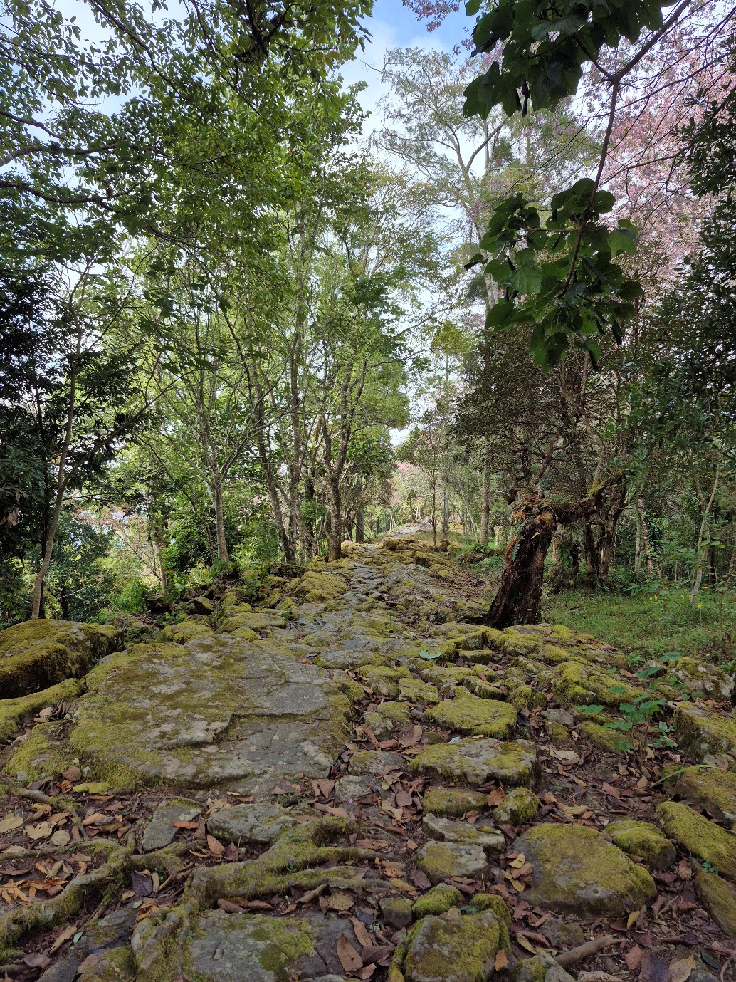 Looking at Longkhum image 5