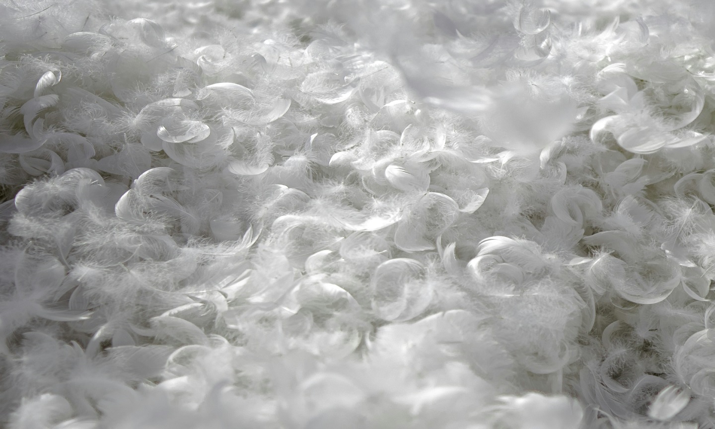 A close view of white bubbles