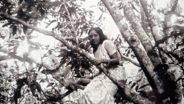 A woman seated among the branches of a tree