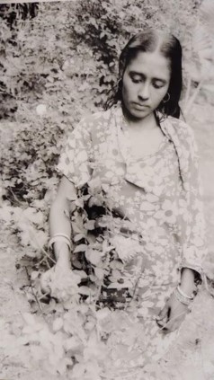 The Girl Who Climbed Trees archival photograph 1