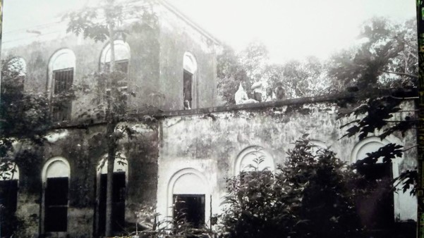 The Girl Who Climbed Trees archival photograph 8